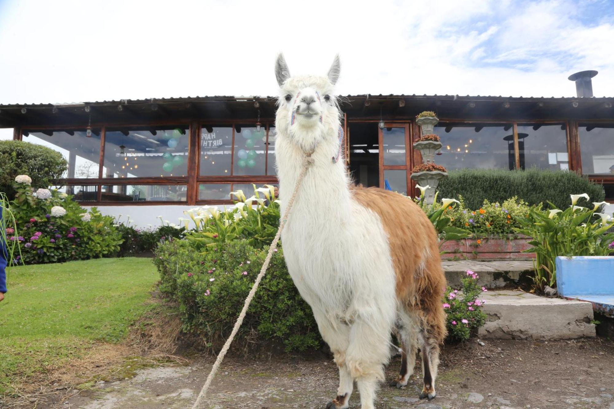 Hacienda El Rejo Villa Machachi Eksteriør billede