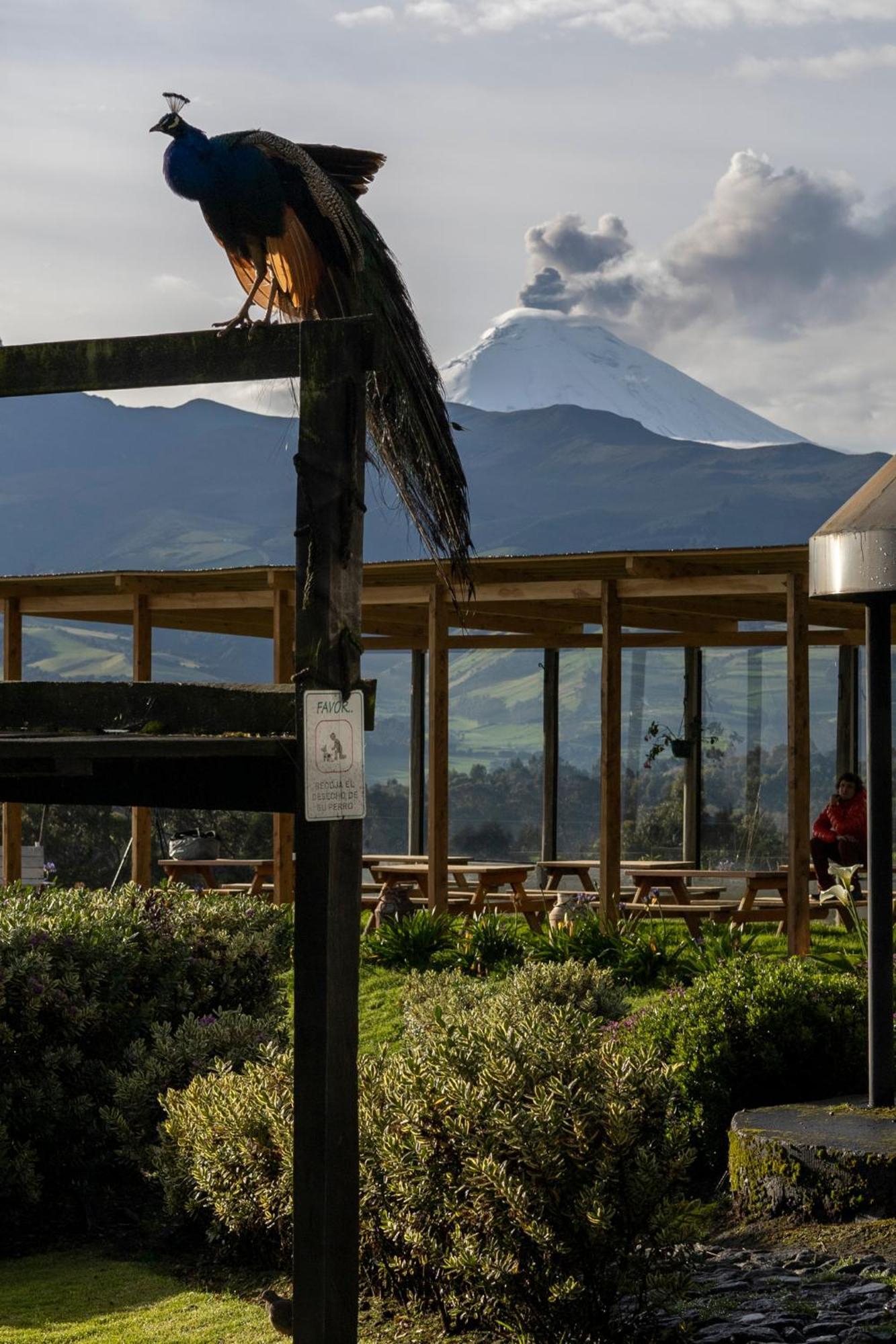 Hacienda El Rejo Villa Machachi Eksteriør billede