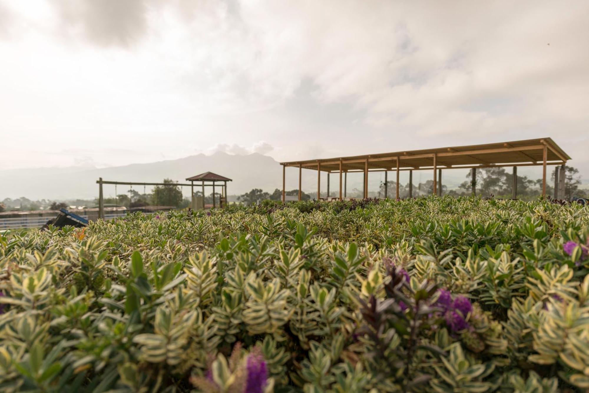 Hacienda El Rejo Villa Machachi Eksteriør billede
